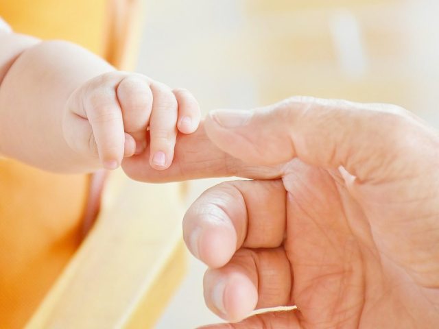 Repères pratiques famille : les 5 piliers du quotidien