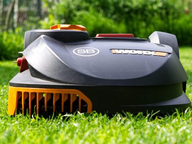 Robot tondeuse ou tondeuse manuelle pour petit jardin