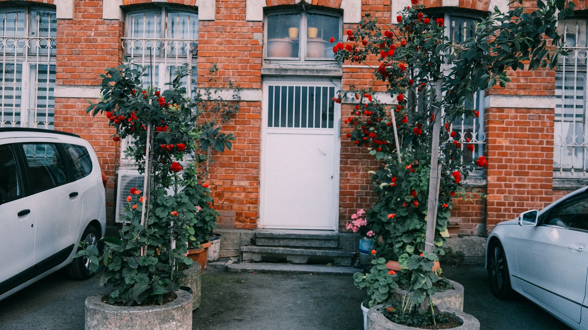 Entretien pratique d’un petit jardin de ville